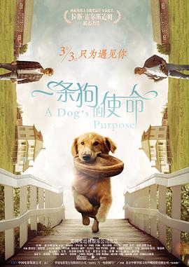 久久www免费人成_看